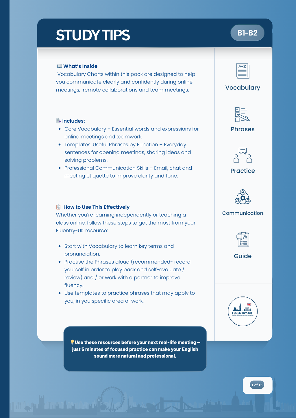 B1–B2 Vocabulary Charts for Online Meetings (Professional Communication Series)